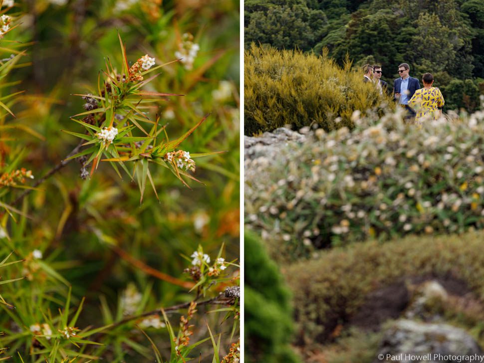 Otari Wilton's Bush Wedding Photography-