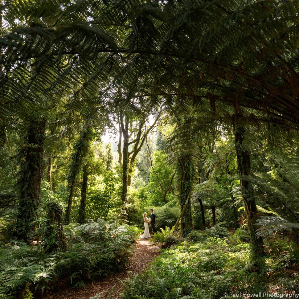 Otari Wilton's Bush Wedding Photography--62