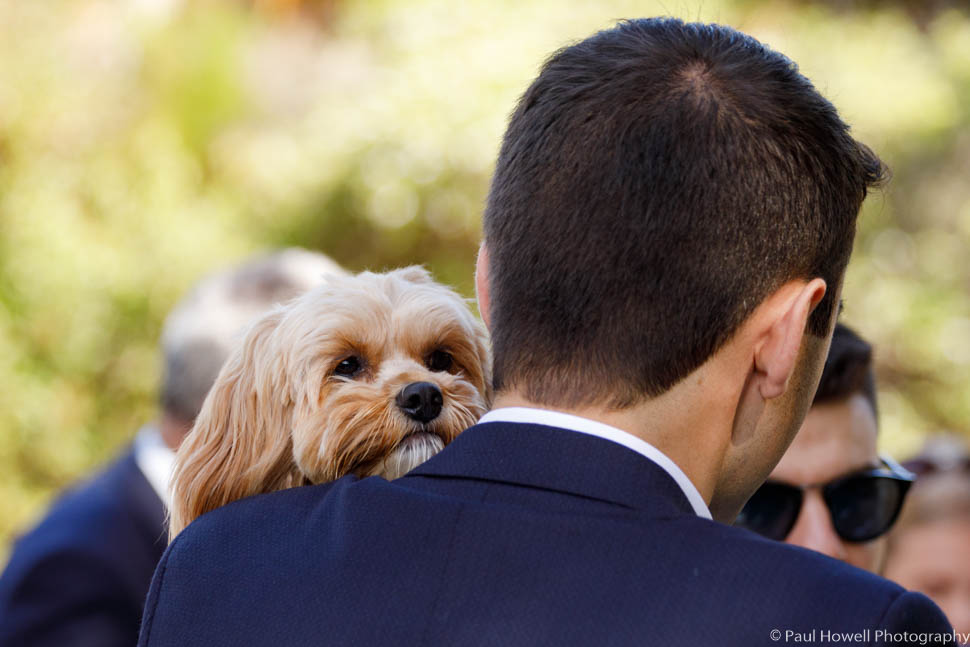 Otari Wilton's Bush Wedding Photography--69