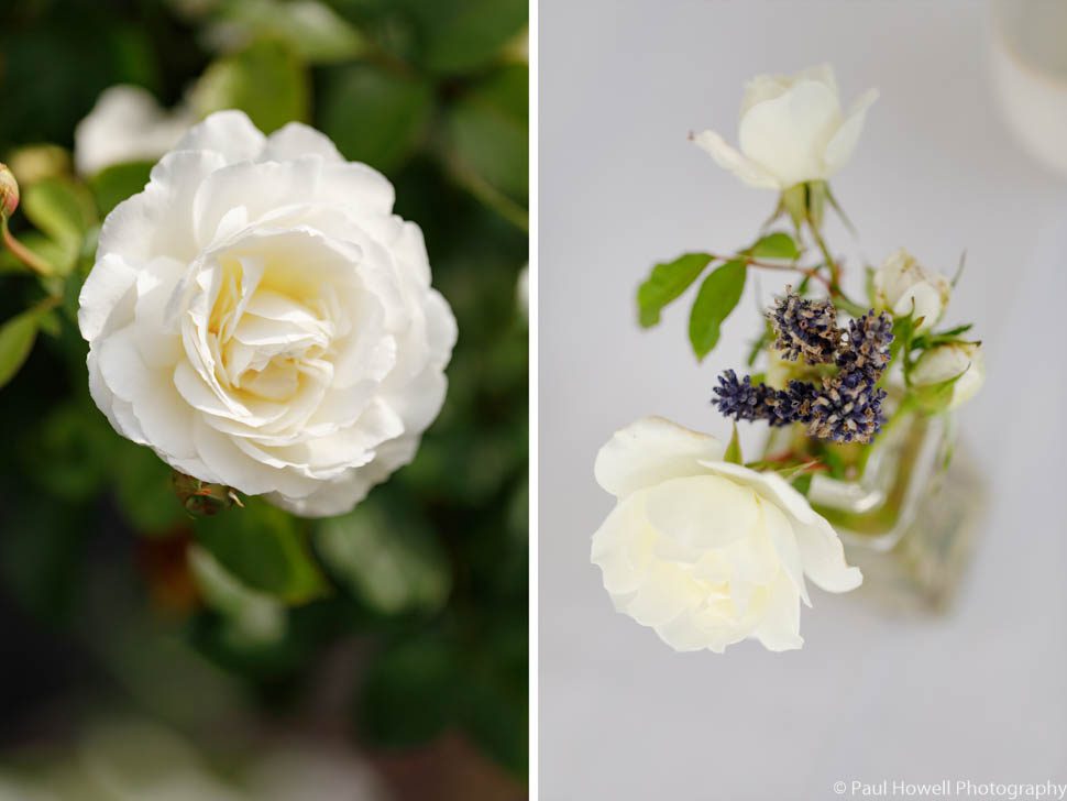 Otari Wilton's Bush Wedding Photography--73