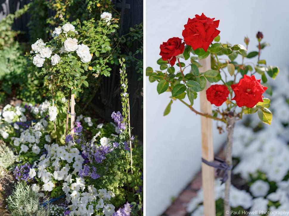 Otari Wilton's Bush Wedding Photography--84